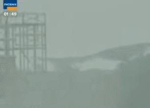 жֲ⼸ֹĺ˵