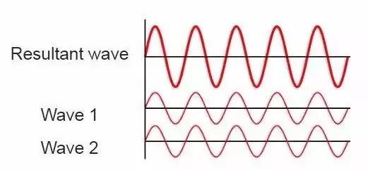 жֲ⼸ֹĺ˵