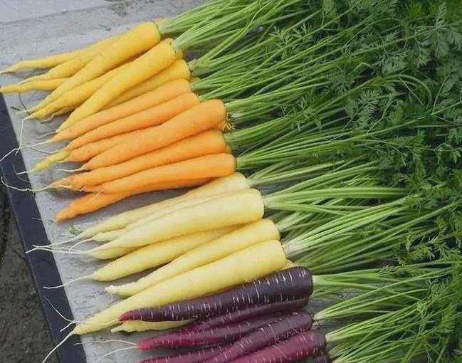 ���ں�����50����֪ʶ��ȥ�˾Ͳ�������Ĺ���