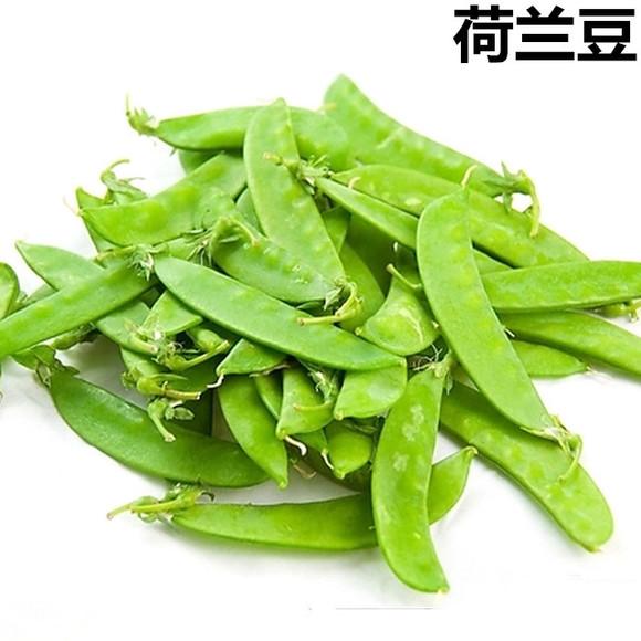 ���ں�����50����֪ʶ��ȥ�˾Ͳ�������Ĺ���