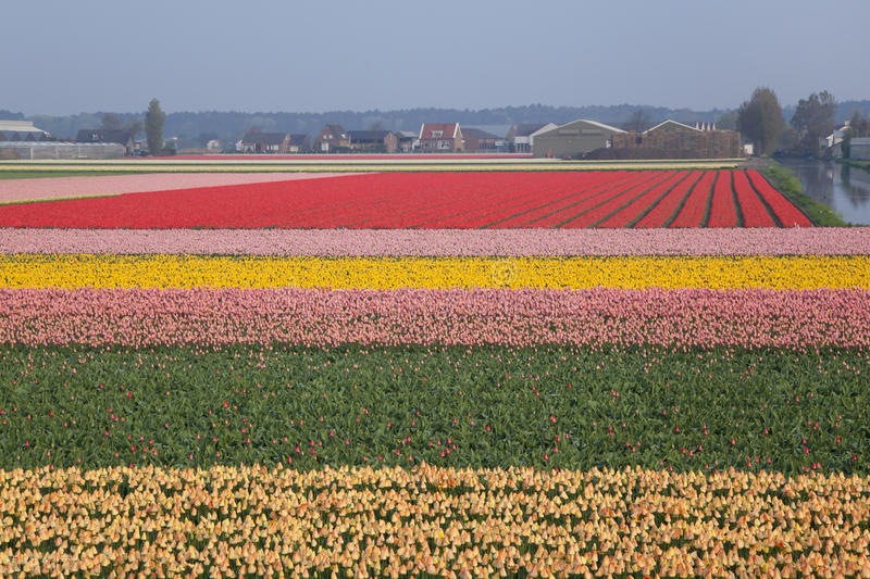 ���ں�����50����֪ʶ��ȥ�˾Ͳ�������Ĺ���