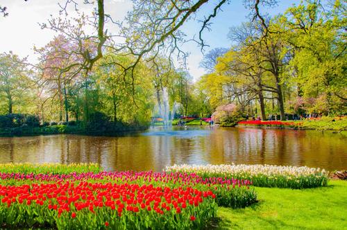 ���ں�����50����֪ʶ��ȥ�˾Ͳ�������Ĺ���