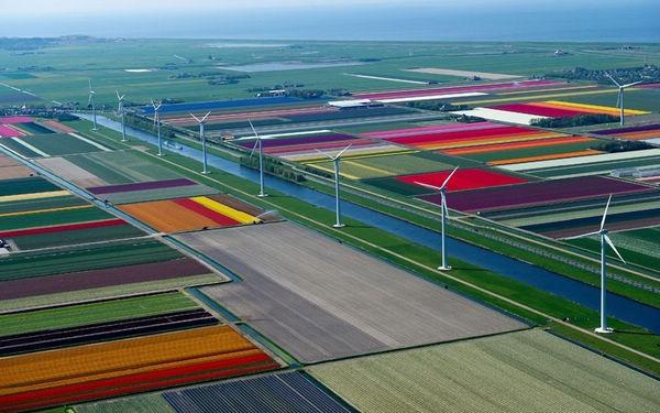 ���ں�����50����֪ʶ��ȥ�˾Ͳ�������Ĺ���