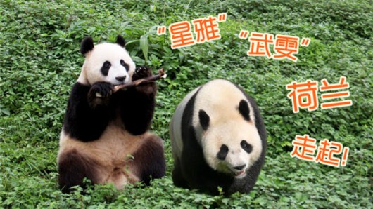 ���ں�����50����֪ʶ��ȥ�˾Ͳ�������Ĺ���