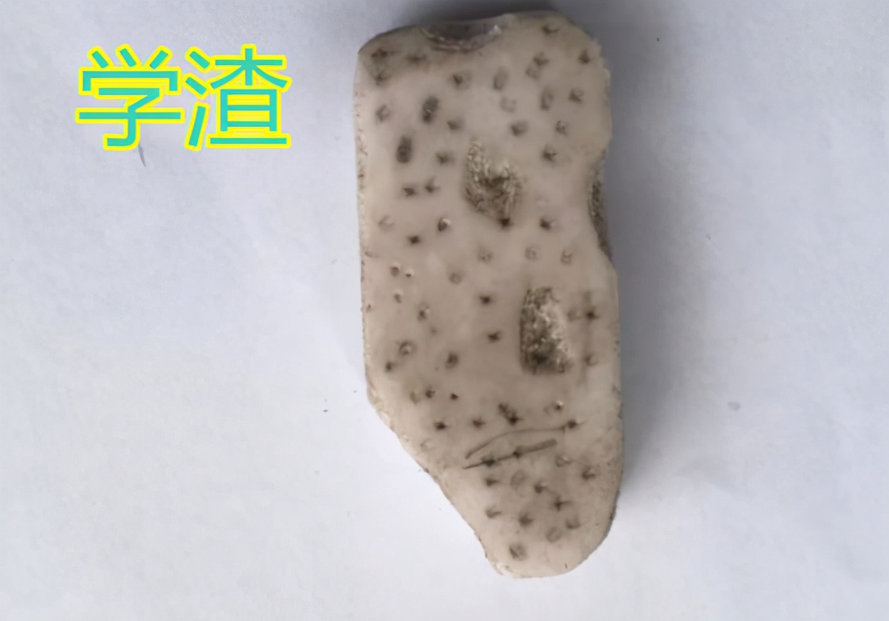 小学生都难逃“橡皮定律”?学霸还是学渣,通过橡皮一眼看出来