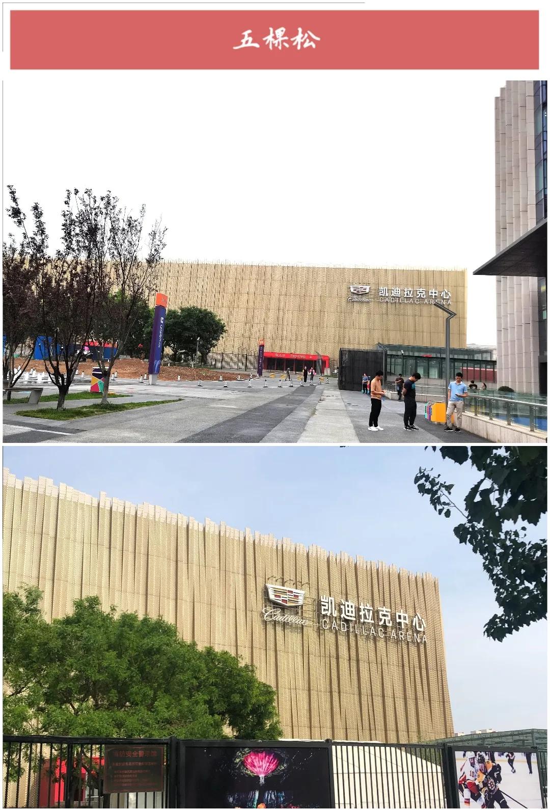 ����50��ͼ���������α鱱��ȫò