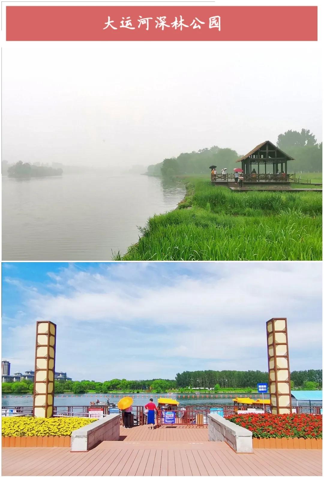 ����50��ͼ���������α鱱��ȫò