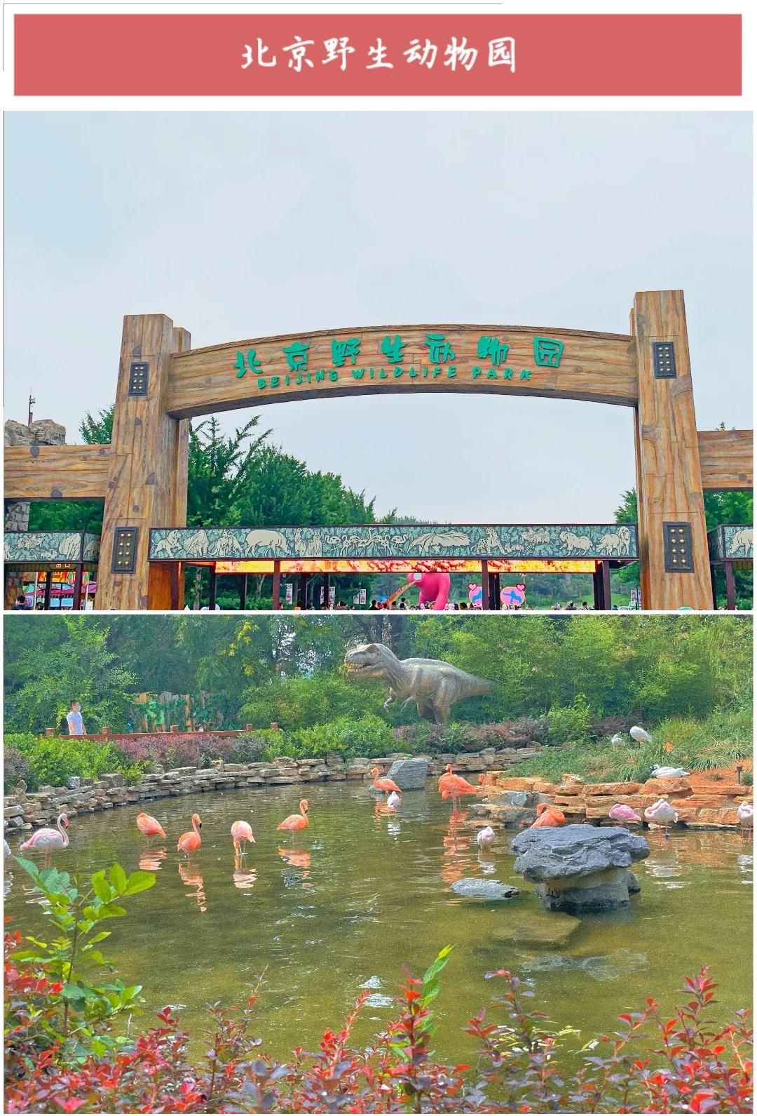 ����50��ͼ���������α鱱��ȫò