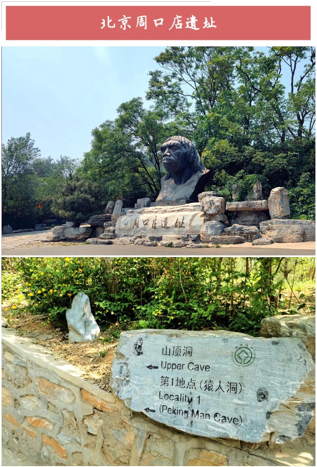 ����50��ͼ���������α鱱��ȫò