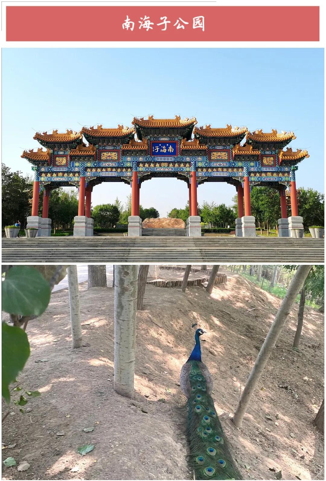 ����50��ͼ���������α鱱��ȫò