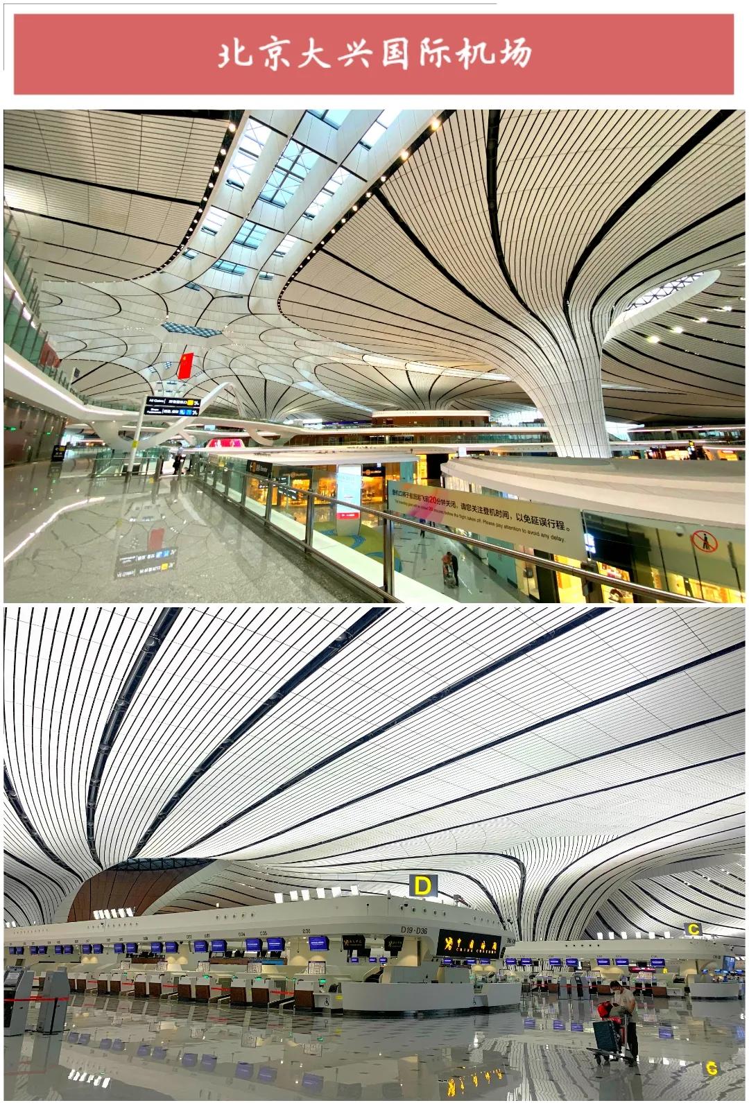 ����50��ͼ���������α鱱��ȫò