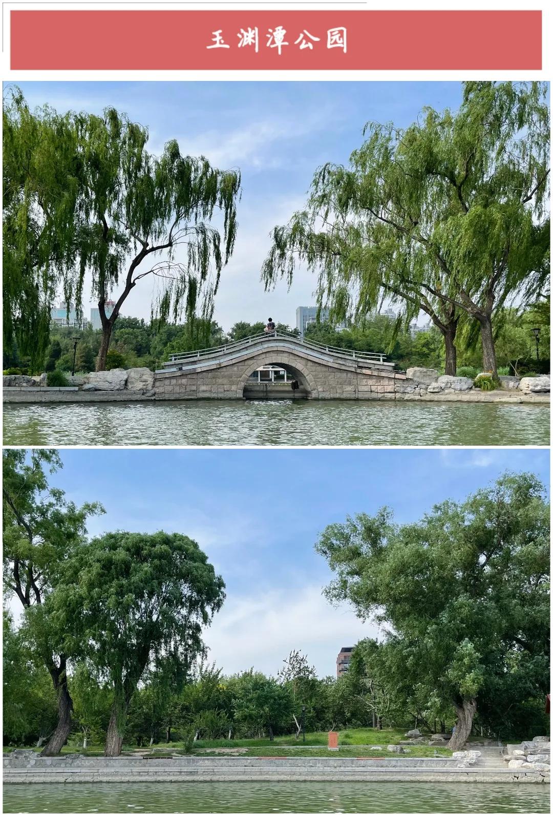 ����50��ͼ���������α鱱��ȫò