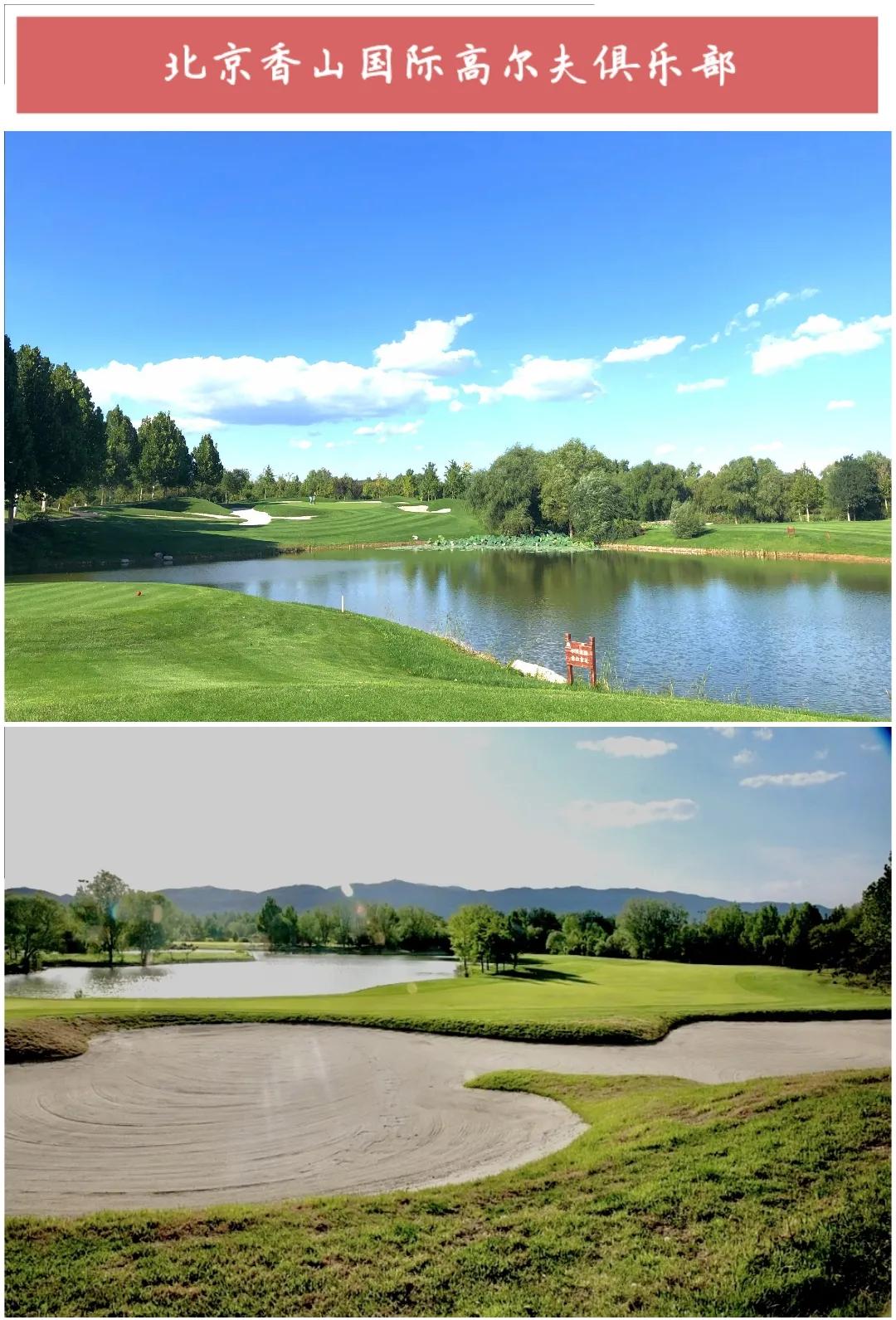 ����50��ͼ���������α鱱��ȫò