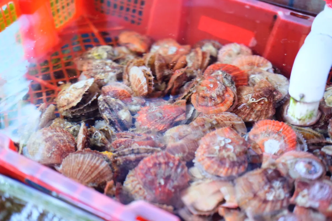 ��������5000�֣��ൺ������ȫ����