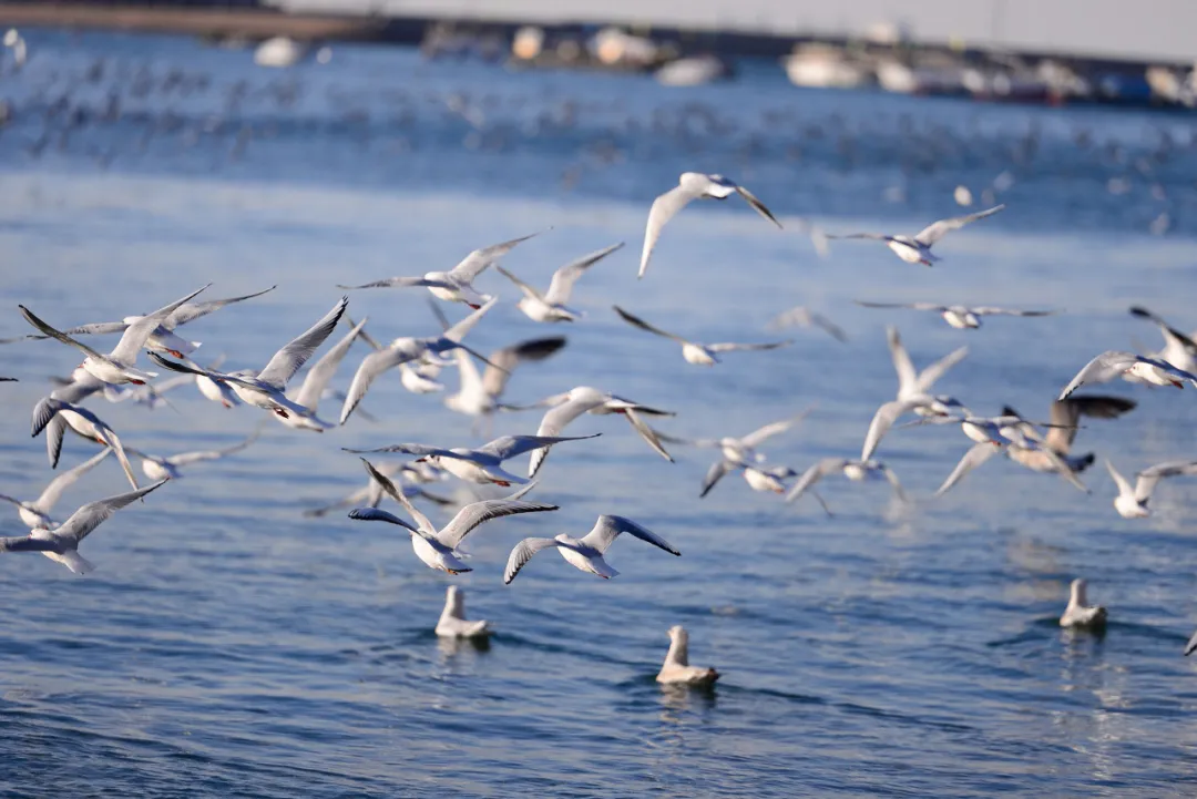 ��������5000�֣��ൺ������ȫ����