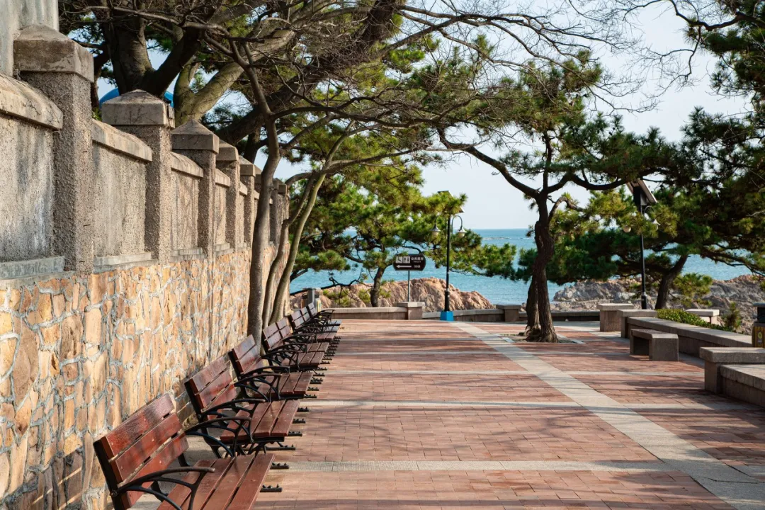 ��������5000�֣��ൺ������ȫ����