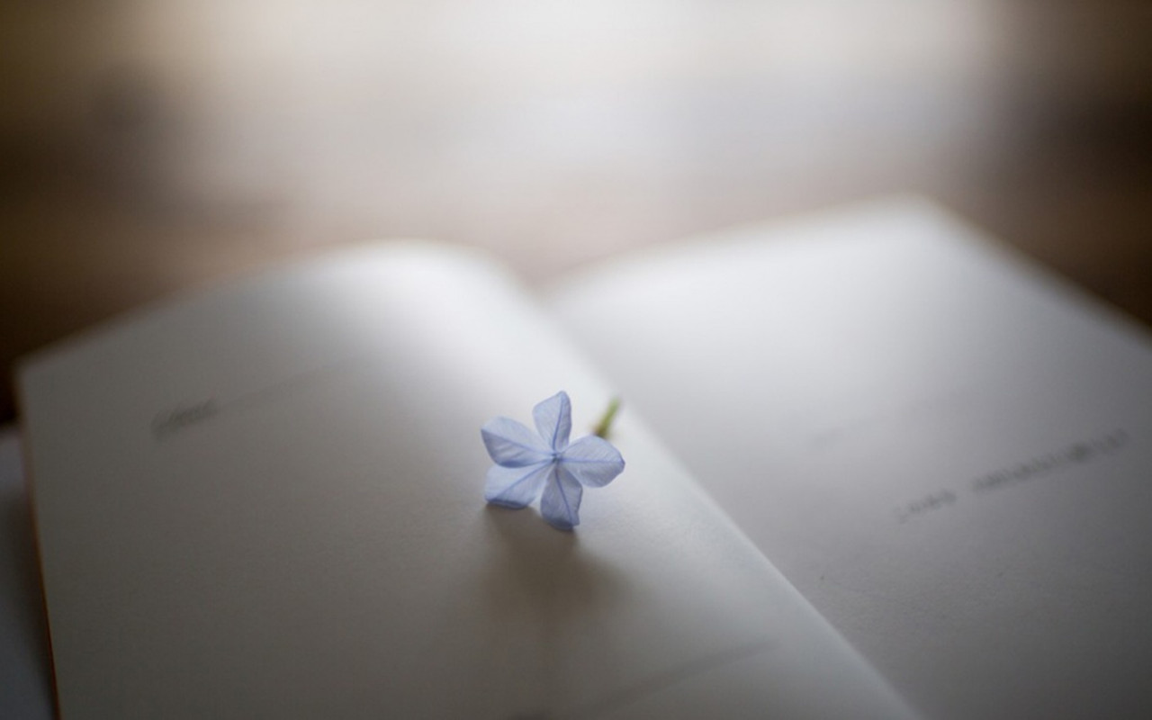 6���Ӷ��꡶��Ȼ���������������������磬�ҵ���չ������