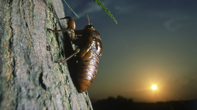 ̫�������ġ��ķ�����12����ı���̫������ÿһ����������������