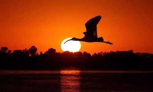 �ݽ��ھ������������ڹ�ͨ�ͱ�����㣬����������8�����Է����