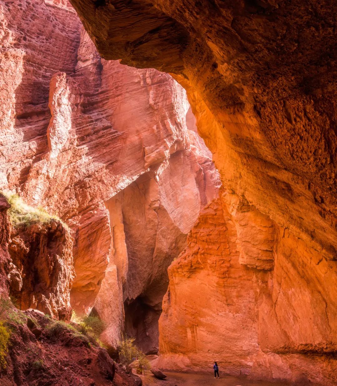 һ��Ʊ��3��࣬�����л𳵣�