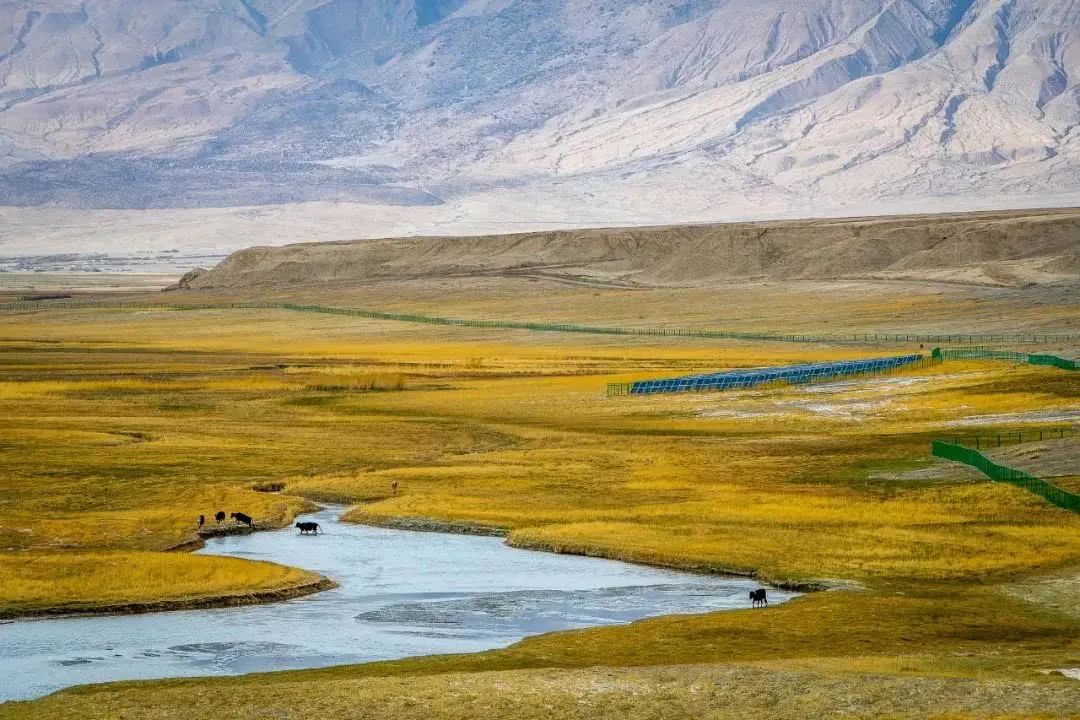 һ��Ʊ��3��࣬�����л𳵣�