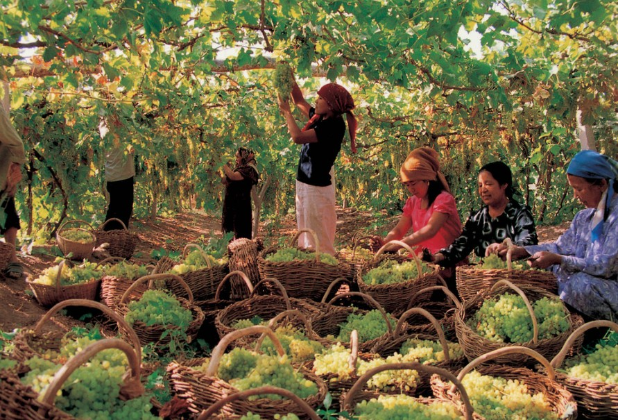 һ��Ʊ��3��࣬�����л𳵣�