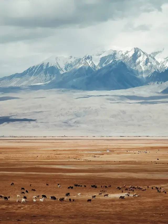 һ��Ʊ��3��࣬�����л𳵣�