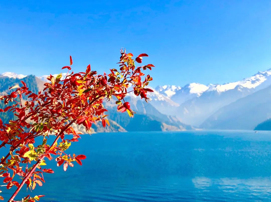 һ��Ʊ��3��࣬�����л𳵣�