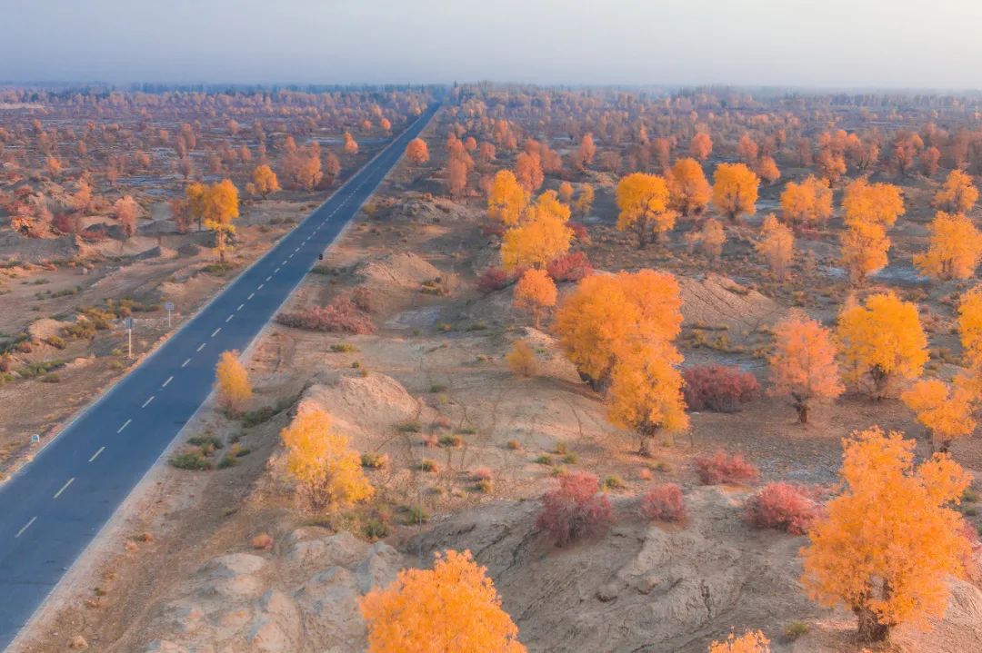 һ��Ʊ��3��࣬�����л𳵣�