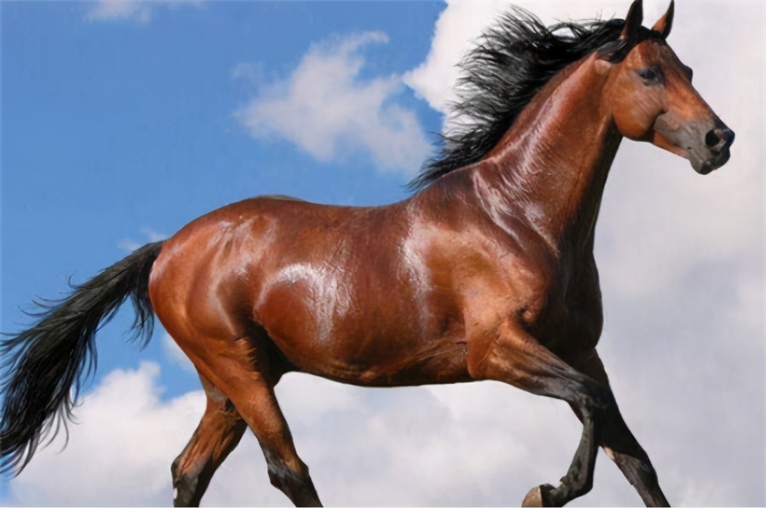 ���˵��ǻۣ��ֲ�ι��ͬ���������ǹŴ�����Ԧ�����ľ�������