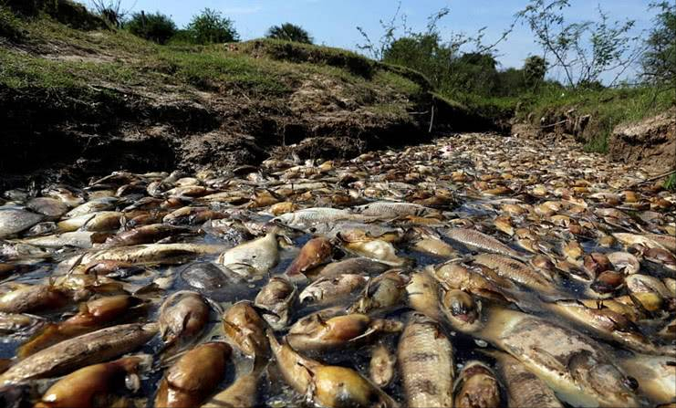 �ֲ������������������౻�������������ķ��ɱ�����ж��