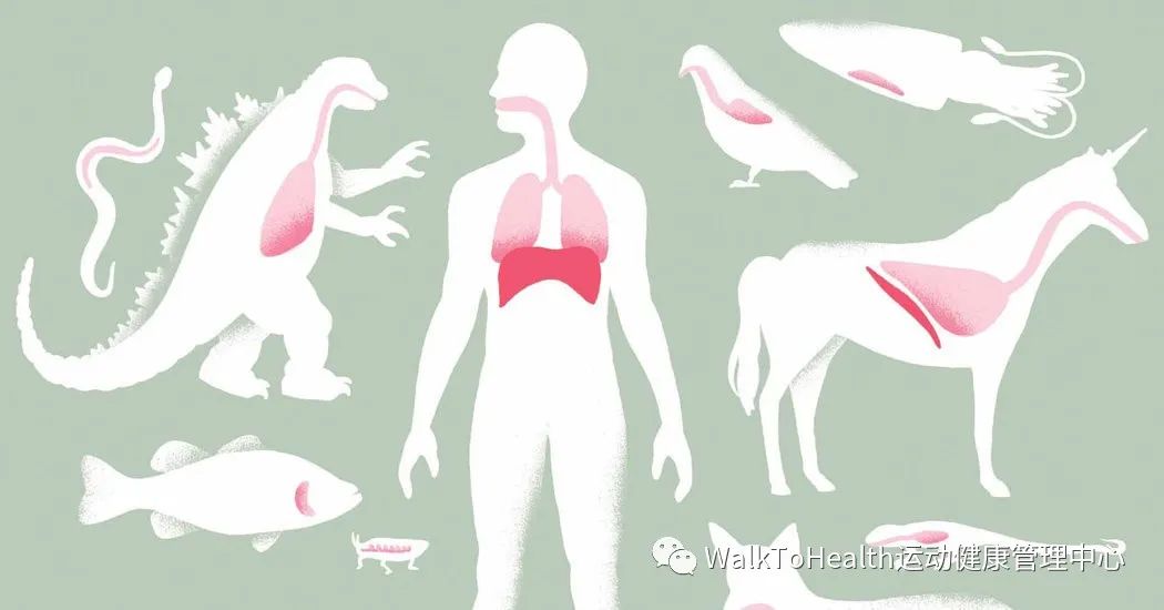 ���������ġ����μ��⡱�������˻�������ȷ����