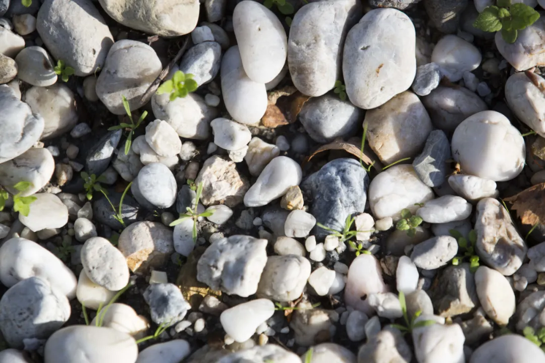 ȫ�����ľ�ׯ������ͼ��ׯ