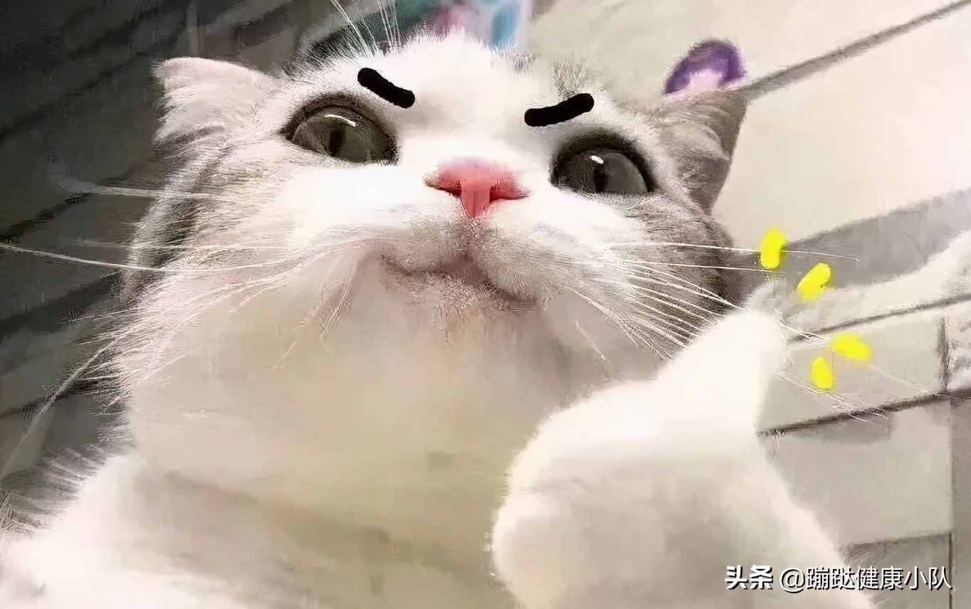 ��2021���ˣ��㻹���׷�����������ʳ��