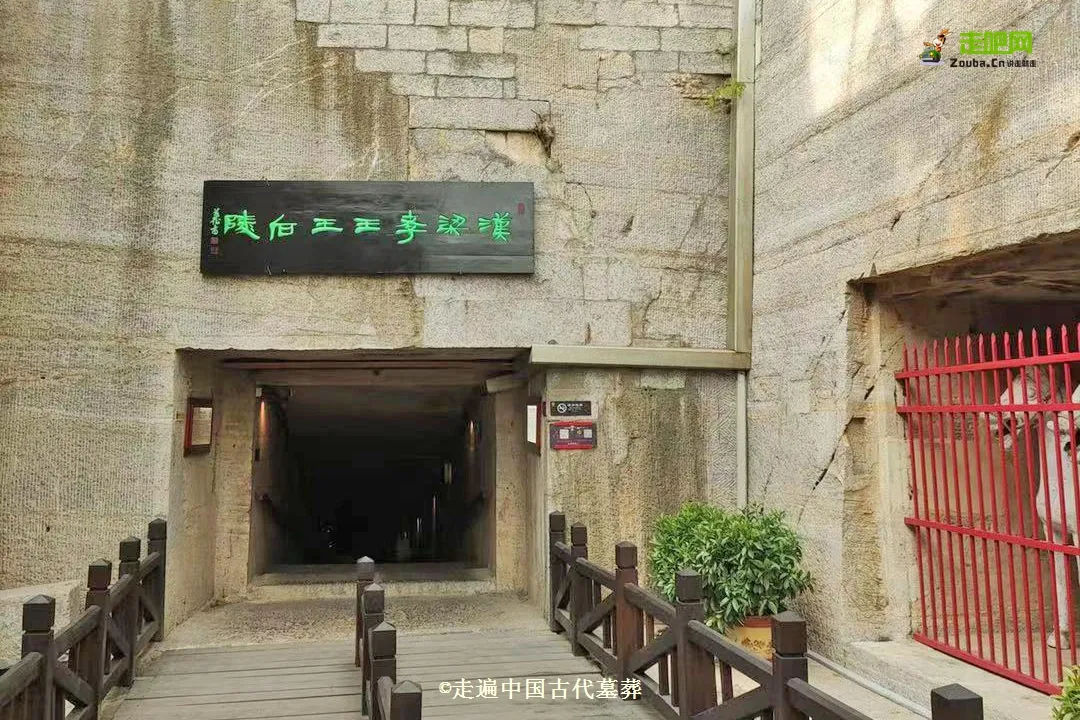 25��С����ԹŴ�Ĺ�ᣬ1��̽��80��������־�߱��й���Ĺ