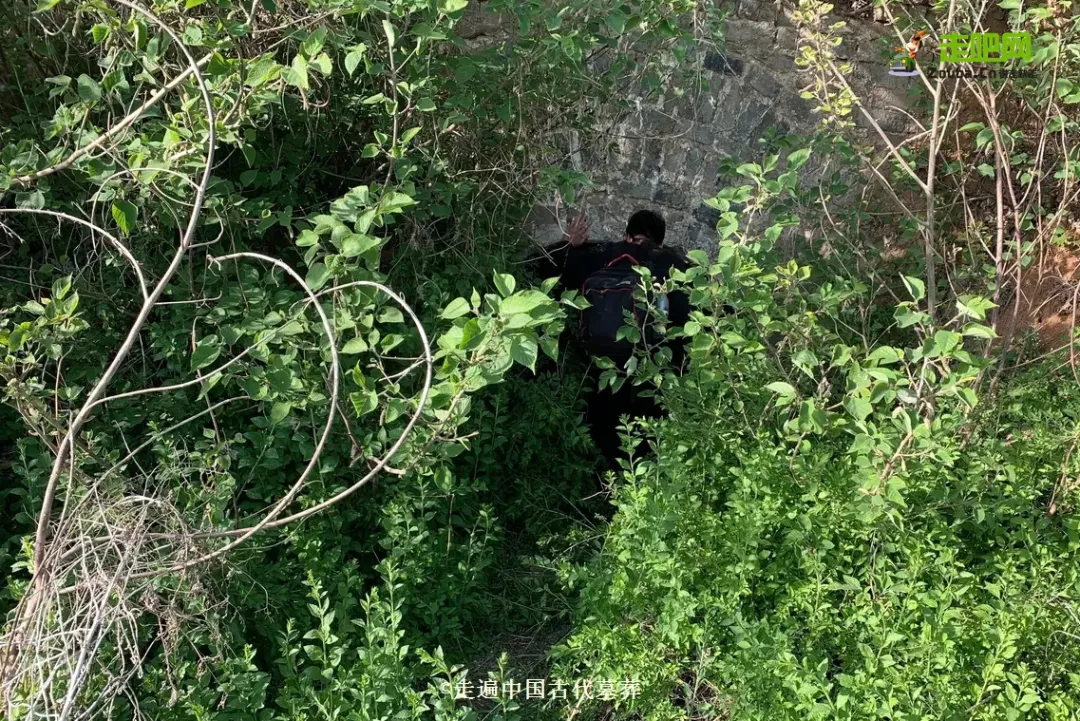 25��С����ԹŴ�Ĺ�ᣬ1��̽��80��������־�߱��й���Ĺ