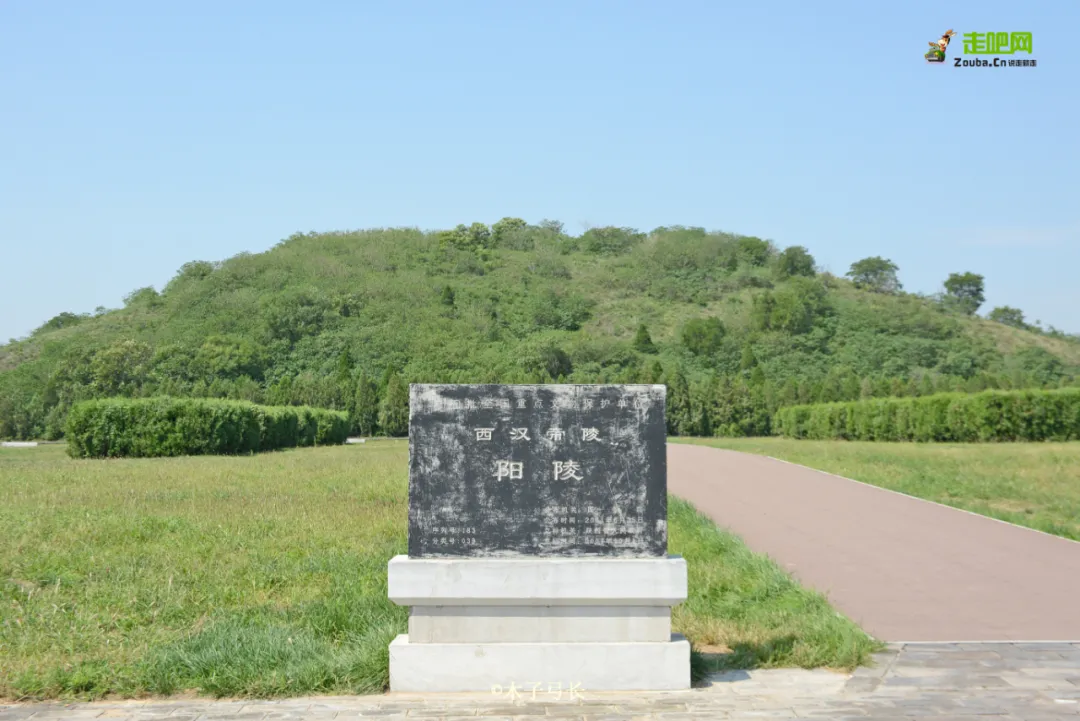 25��С����ԹŴ�Ĺ�ᣬ1��̽��80��������־�߱��й���Ĺ