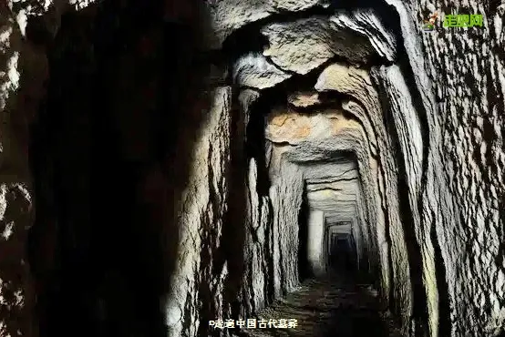 25��С����ԹŴ�Ĺ�ᣬ1��̽��80��������־�߱��й���Ĺ