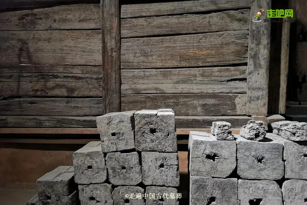 25��С����ԹŴ�Ĺ�ᣬ1��̽��80��������־�߱��й���Ĺ