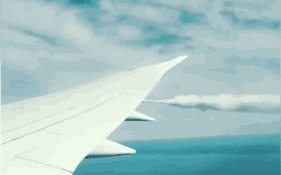 �ɻ��صĲ����ˣ������ͣ�һ�Ĵ��㿴�����ɻ������䵽���ж��