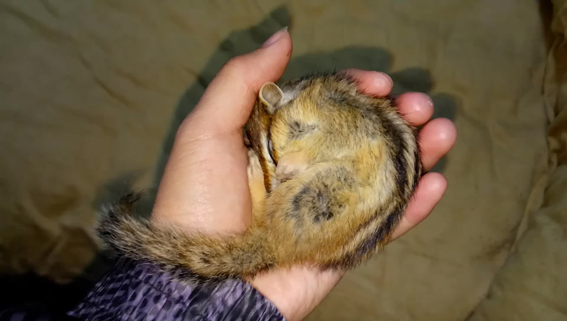 ���ߣ�һ�������䣿������ռ�������壬���ߺ�˯���кα�������