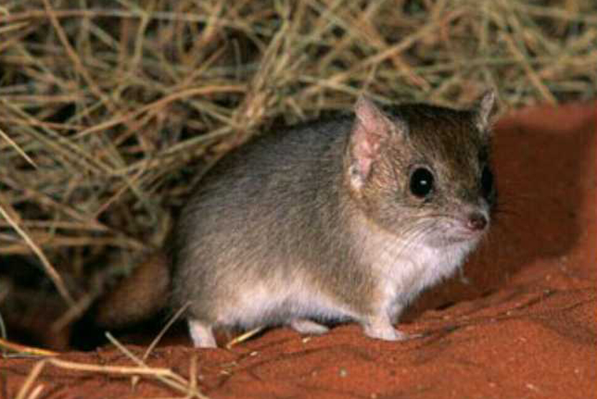 ���ߣ�һ�������䣿������ռ�������壬���ߺ�˯���кα�������