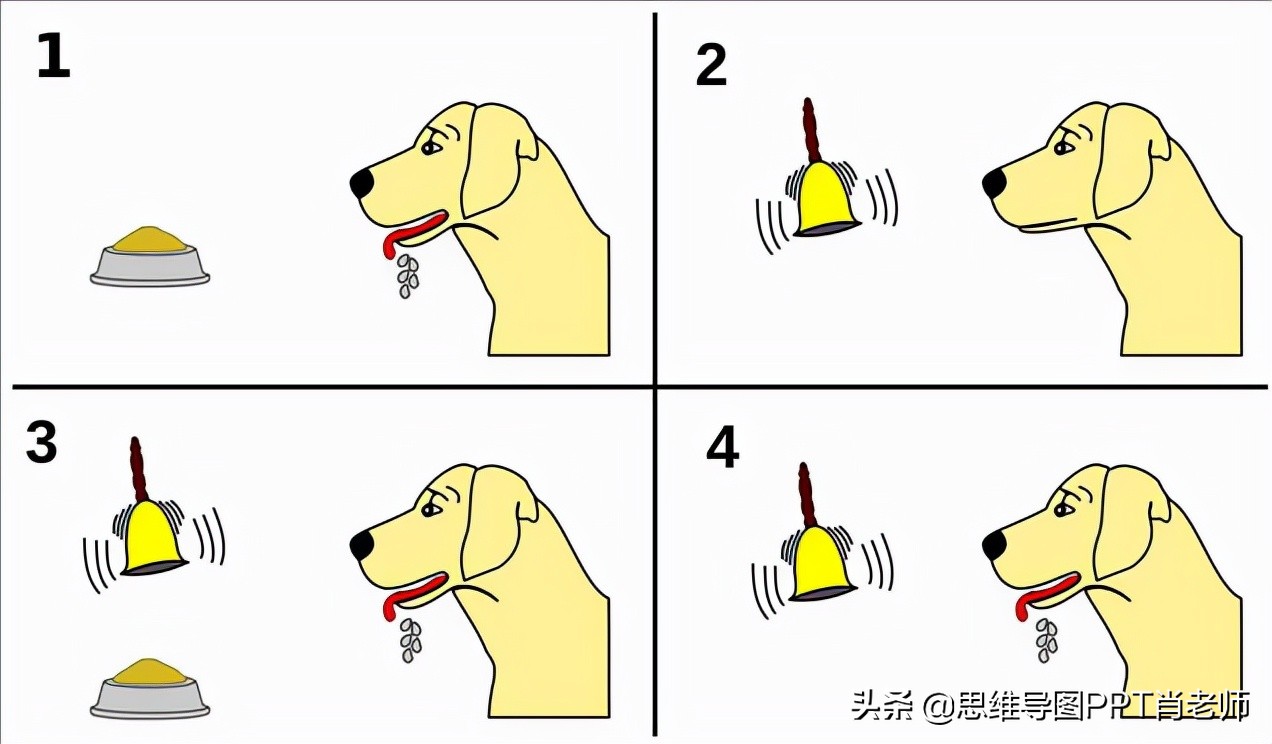 ������ü��˷��ԣ����ϰ忴������߼�˼ά�ͱ���������ת���ղ�