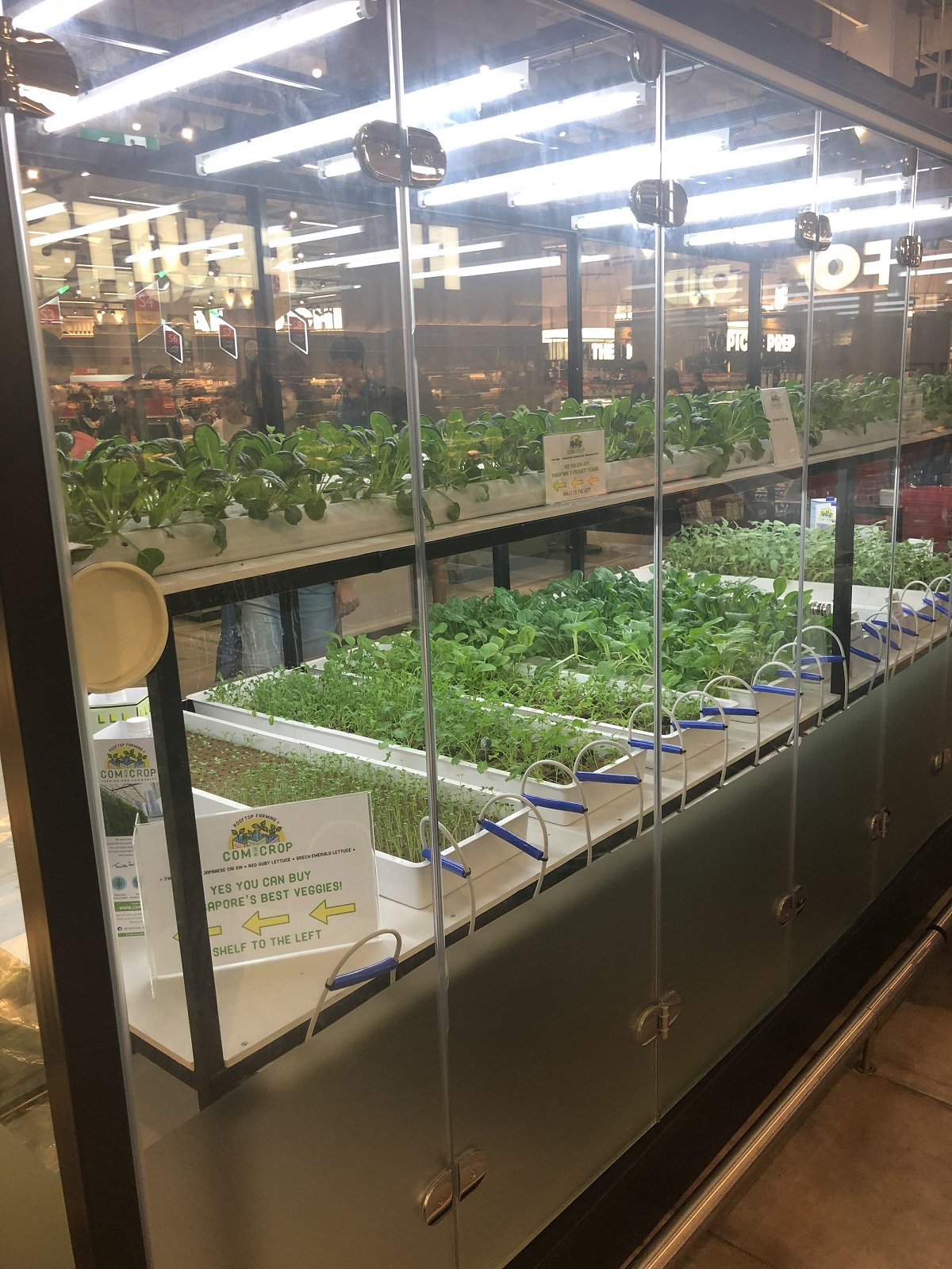 50����Ƭ�����㣬���¼��¡��ж�ô���ڲ�ͬ