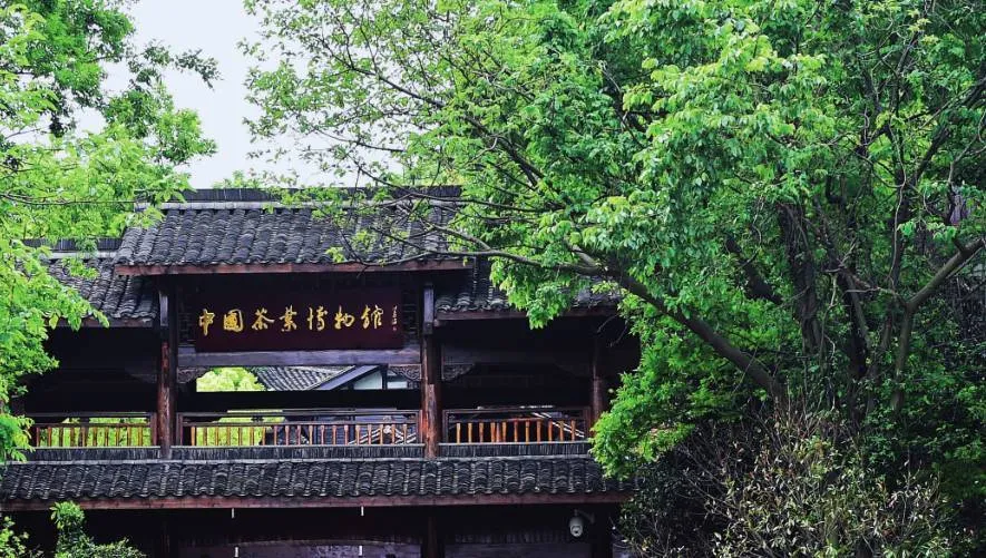 ���������㺼����ô�棬����ƪ����˦����