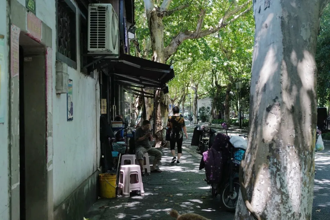 ���������㺼����ô�棬����ƪ����˦����