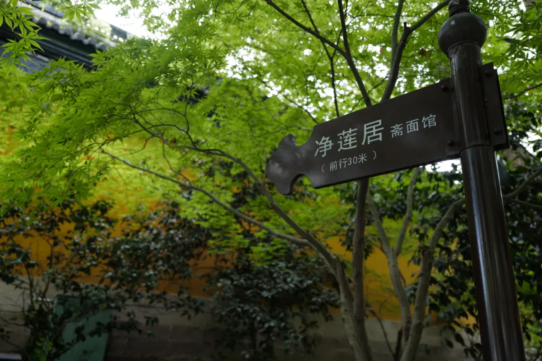 ���������㺼����ô�棬����ƪ����˦����