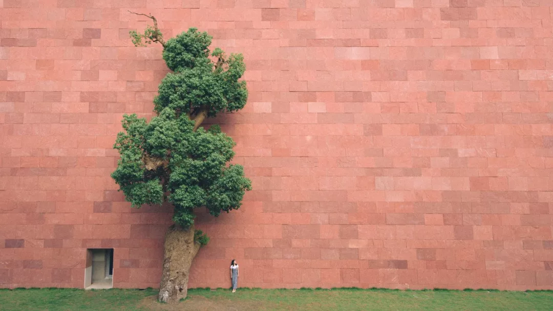 ���������㺼����ô�棬����ƪ����˦����