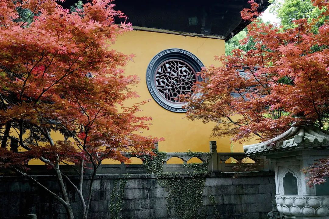 ���������㺼����ô�棬����ƪ����˦����