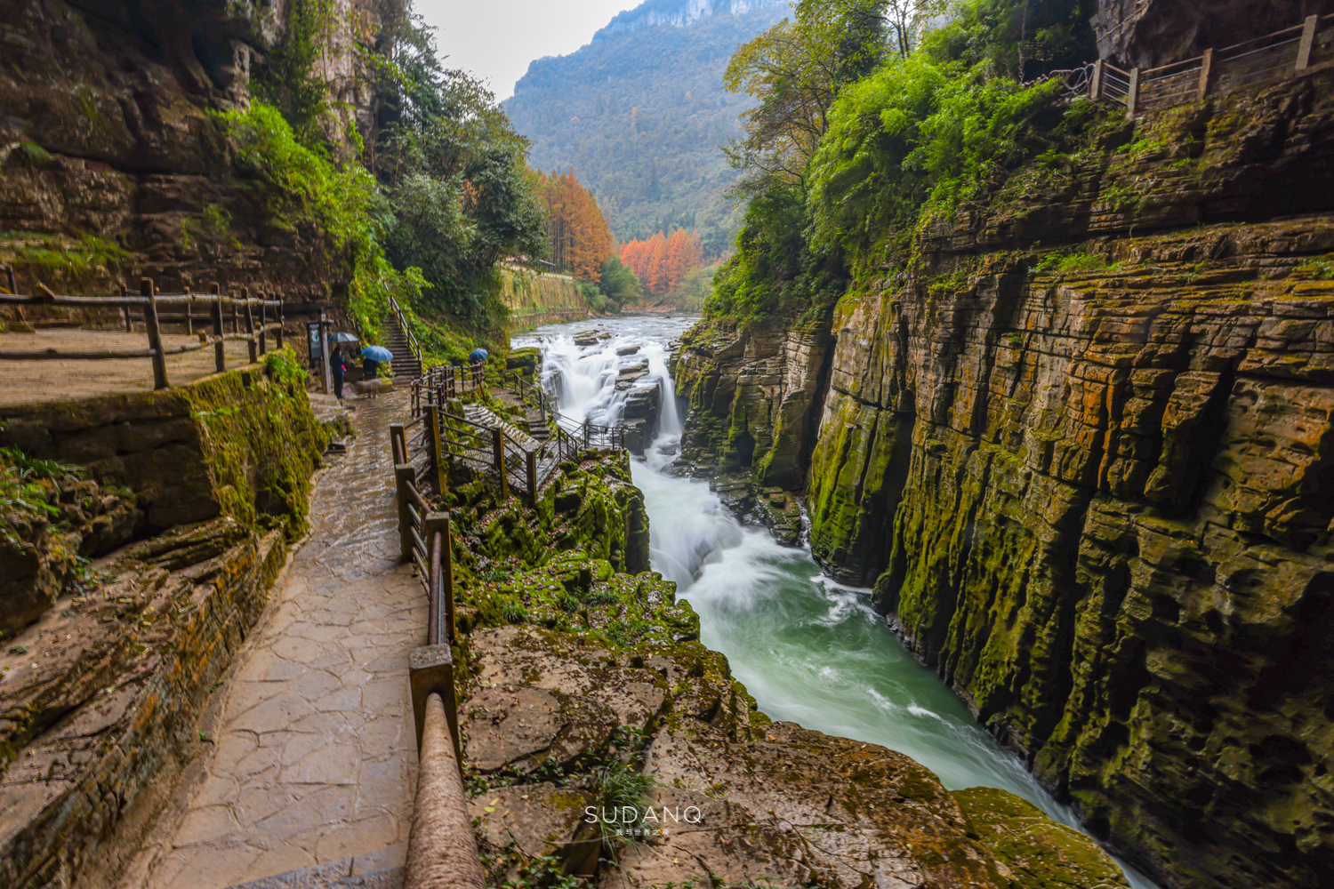 ʵ�����޵�һ�󶴣�������1000���ˣ�һ��20��Ľ������ܷ�ֱ����